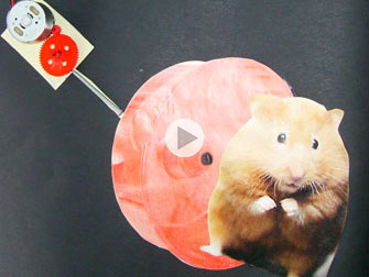 Hamsterrad