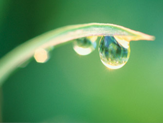 Wasser