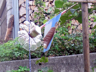 PET Rotor