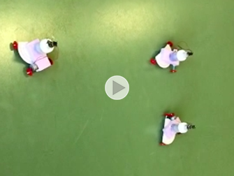 Ballett mit Akku Wägelchen 2019 01 19 Stv Kopie