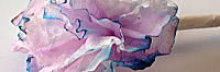 Blume